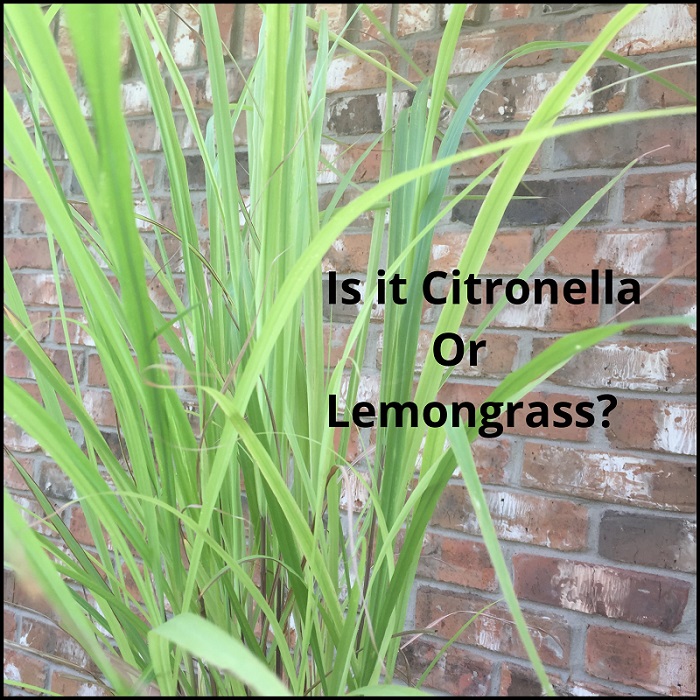 File Jul 16, 5 32 04 PM